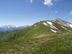 Tulipa-humilis_Ятыргрварта_стация